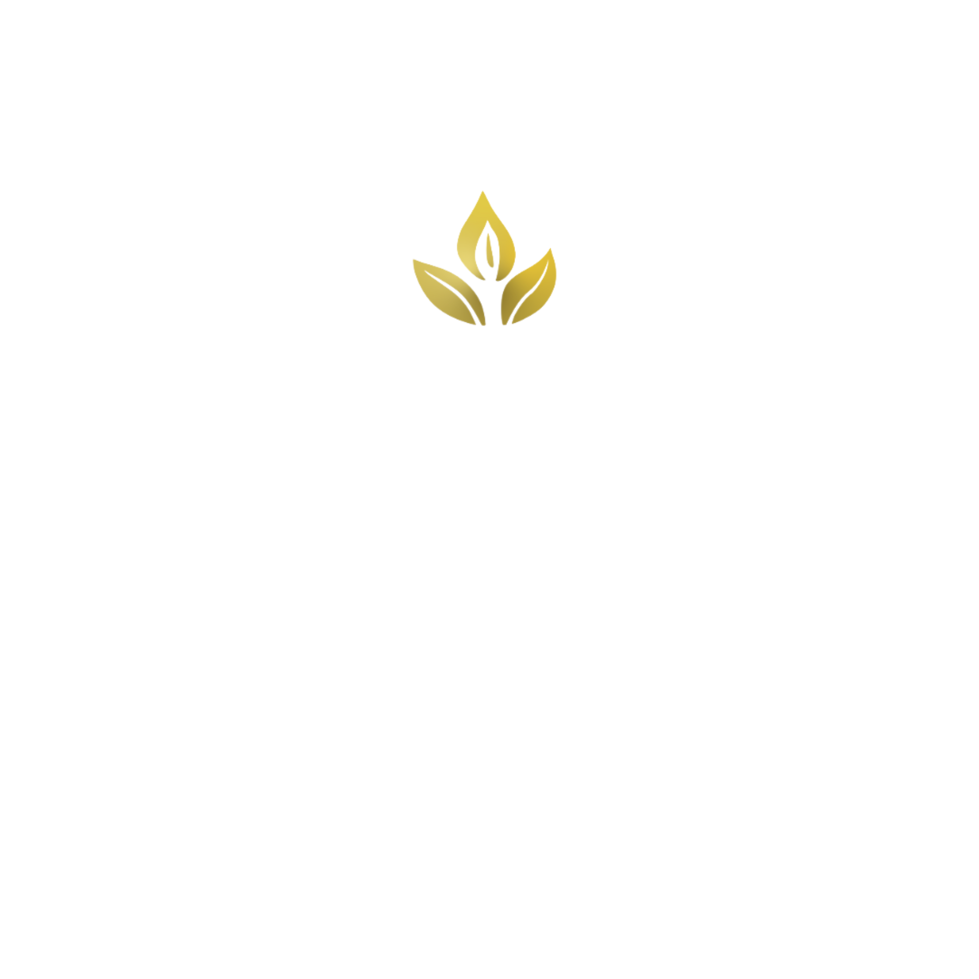 The Growth Minds
